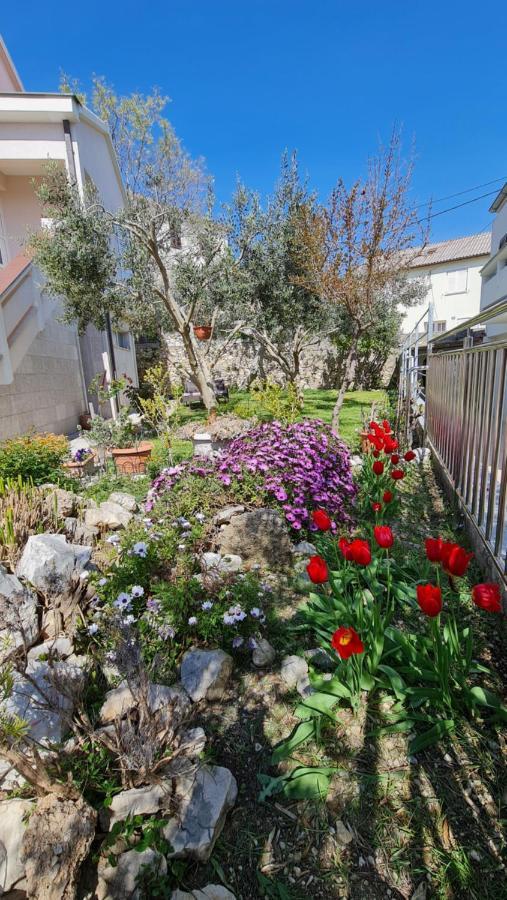 Apartmani Dami Novalja Exterior photo